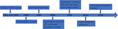 Research Progress on Intracranial Lymphatic Circulation and Its Involvement in Disorders